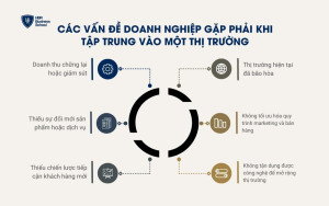 Các vấn đề doanh nghiệp gặp phải khi tập trung vào một thị trường