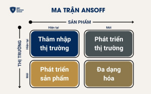 Các loại chiến lược phát triển thị trường theo ma trận Ansoff