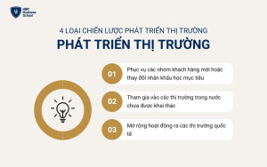 Chiến lược phát triển thị trường tiếp cận các khu vực địa lý mới hoặc các phân khúc khách hàng khác