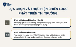 Hai hướng đi chính trong chiến lược phát triển thị trường