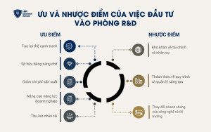 Ưu và nhược điểm của việc đầu tư vào phòng R&D