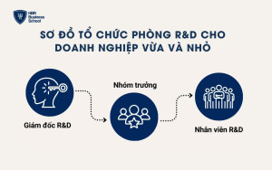 Sơ đồ tổ chức phòng R&D cho doanh nghiệp vừa và nhỏ