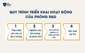 Quy trình triển khai hoạt động của phòng R&D