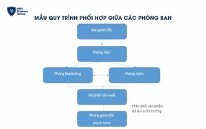 Quy trình phối hợp giữa các phòng ban trong nghiên cứu và phân phối sản phẩm