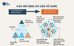 Mô hình kim tự tháp và mô hình Agile