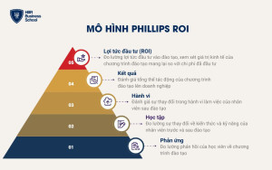 Mô hình Phillips ROI