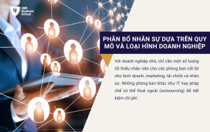 Phân bổ nhân sự dựa trên quy mô và loại hình doanh nghiệp