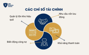 Các chỉ số tài chính quan trọng