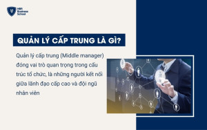 Quản lý cấp trung là những người kết nối giữa lãnh đạo cấp cao và đội ngũ nhân viên