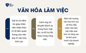 Văn hóa doanh nghiệp định hình hành vi và thái độ của nhân viên