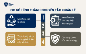 Những cơ sở hình thành nguyên tắc quản lý