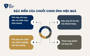 4 đặc điểm nổi bật của một chuỗi cung ứng hiệu quả