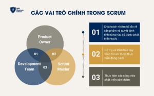 Ba vai trò chính trong Scrum