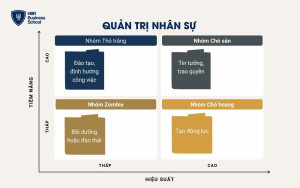 Quản trị nhân sự theo ma trận nhân tài 4 ô