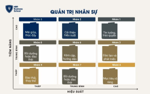 Quản trị nhân sự theo ma trận nhân tài 9 ô