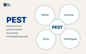 Mô hình PEST là viết tắt của Political - Economic - Social - Technological