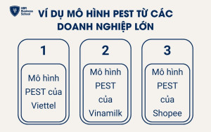 Ví dụ mô hình PEST từ các doanh nghiệp lớn