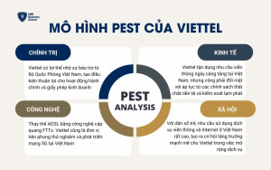 Mô hình PEST của Viettel