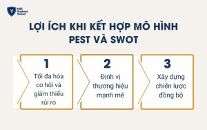 Lợi ích Khi kết hợp mô hình PEST và SWOT