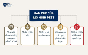 Hạn chế của mô hình PEST