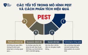 Mô hình PEST là công cụ phân tích chiến lược với bốn yếu tố chính