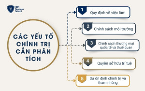 Các yếu tố chính trị cần phân tích trong mô hình PEST