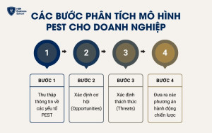 Các bước phân tích mô hình PEST cho doanh nghiệp