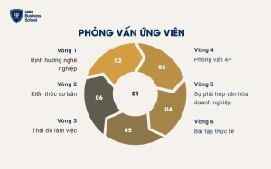 Quy trình phỏng vấn chọn nhân tài