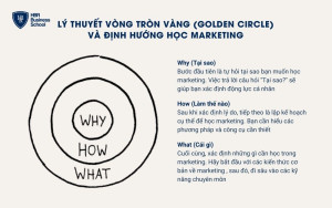 Lý thuyết Vòng Tròn Vàng (Golden Circle) và định hướng học marketing