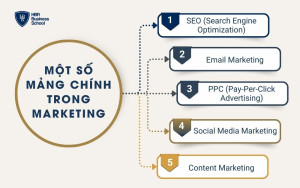 Một số mảng chính trong marketing