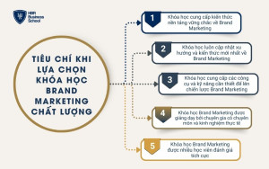 Tiêu chí khi lựa chọn khóa học Brand Marketing chất lượng