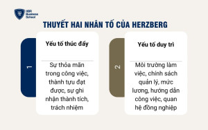 Các yếu tố tạo động lực làm việc theo thuyết hai nhân tố của Herzberg