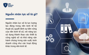 Nguồn nhân lực số là gì?