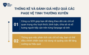 Thống kê và đánh giá hiệu quả các page vệ tinh thường xuyên