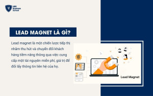 Lead magnet cung cấp cho khách hàng những thông tin hữu ích, thiết thực và liên quan đến sản phẩm/dịch vụ