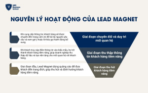 Nguyên lý hoạt động của Lead Magnet