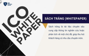 Lead Magnet sử dụng Sách trắng (Whitepaper)