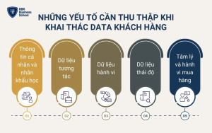 Những yếu tố cần thu thập khi khai thác data khách hàng