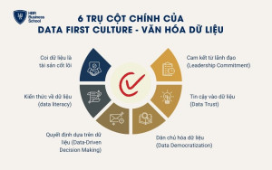 6 trụ cột chính trong văn hóa dữ liệu