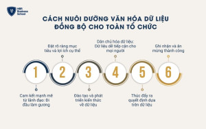 Cách nuôi dưỡng văn hóa dữ liệu trong doanh nghiệp