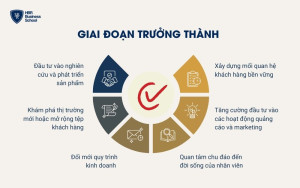 Giai đoạn trưởng thành