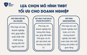 Lựa chọn mô hình TMĐT tối ưu cho doanh nghiệp