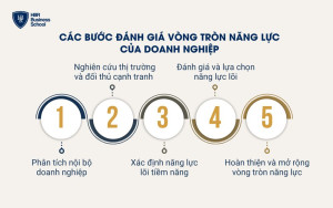 Các bước xác định và đánh giá vòng tròn năng lực của doanh nghiệp