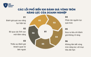 Các lỗi phổ biến khi đánh giá vòng tròn năng lực của doanh nghiệp