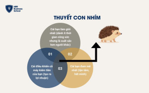 Nguyên tắc con nhím