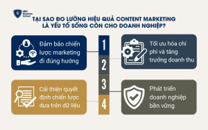 Tại sao đo lường hiệu quả Content Marketing là yếu tố sống còn cho doanh nghiệp