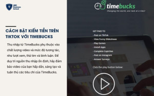 TimeBucks là nền tảng giúp bạn kiếm tiền bằng cách thực hiện các nhiệm vụ nhỏ