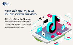 Cung cấp dịch vụ tăng Follow, View và Tim video để kiếm tiền từ Tik Tok