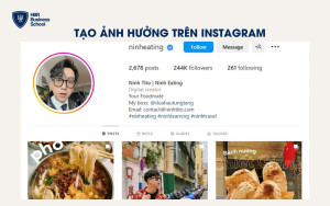 Tạo ảnh hưởng trên Instagram, Facebook