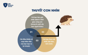 Cấu trúc 3 vòng của thuyết con nhím